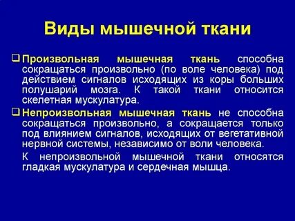Клетки способны сокращаться
