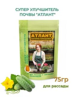 Атлант для рассады