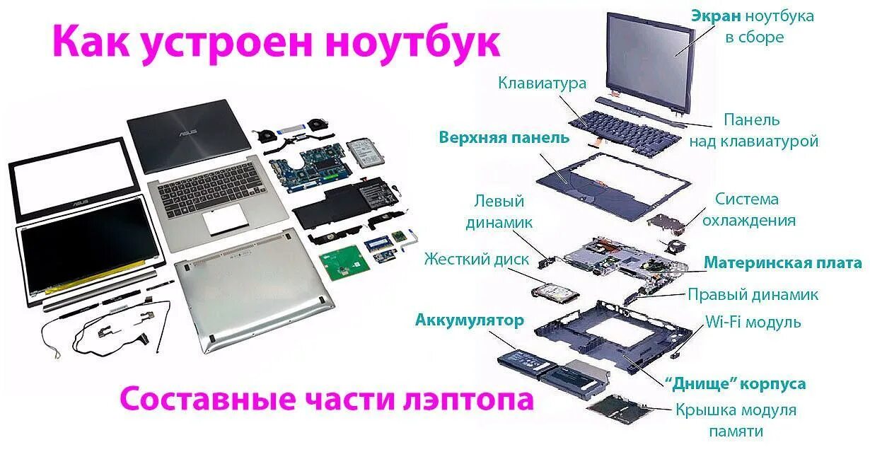 Экранные устройства. Составные части ноутбука Acer. Строение ноутбука Acer внешнее. Из чего состоит ноутбук асус.