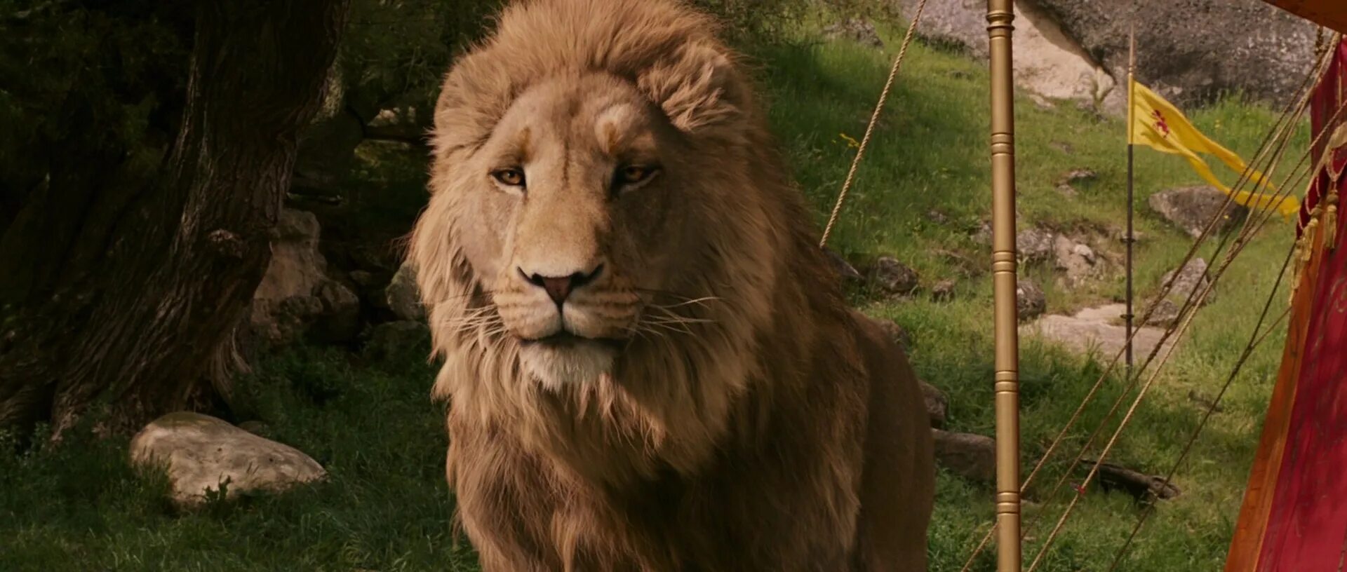 лев персонаж хроники нарнии 5 букв. аслан хроники нарнии. аслан нарния. лев персонаж хроники нарнии 5 букв. лев персонаж хроники нарнии 5 букв.