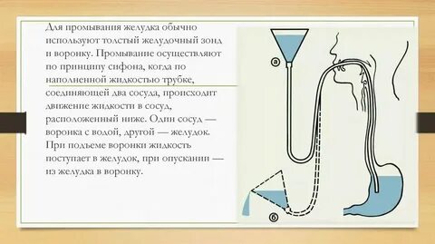 Кровообращение утрамбованный полоскать умолять нерасторопный