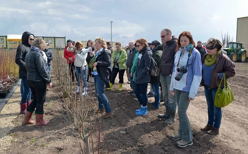 Питомник новости. Питомник Савватеевых в Тульской области. Московский ландшафтный клуб. Питомник Савватеевых в Шаховском районе.