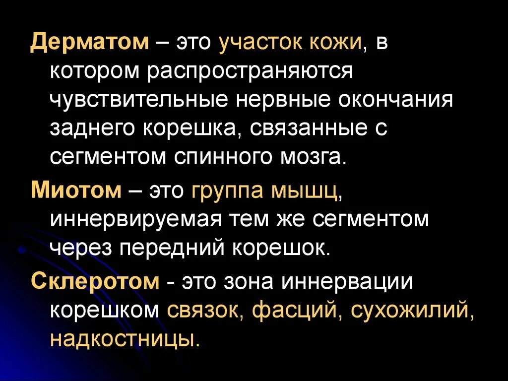 Дерматом миотом. Дерматом. миотом это неврология. дерматом неврология. дерматом миотом склеротом.