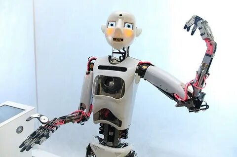 Gdd ro bot