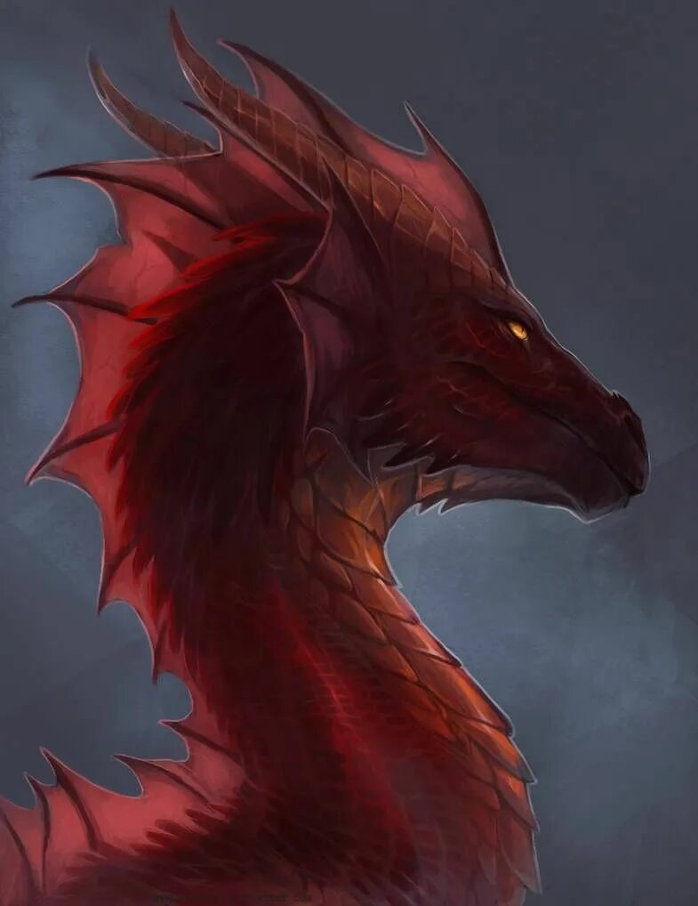 Irenbee dragons. Виверна кровь дракона. Красная виверна. Аэсоннэ драконица. Красный дракон виверна.