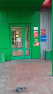 Озон ленинск