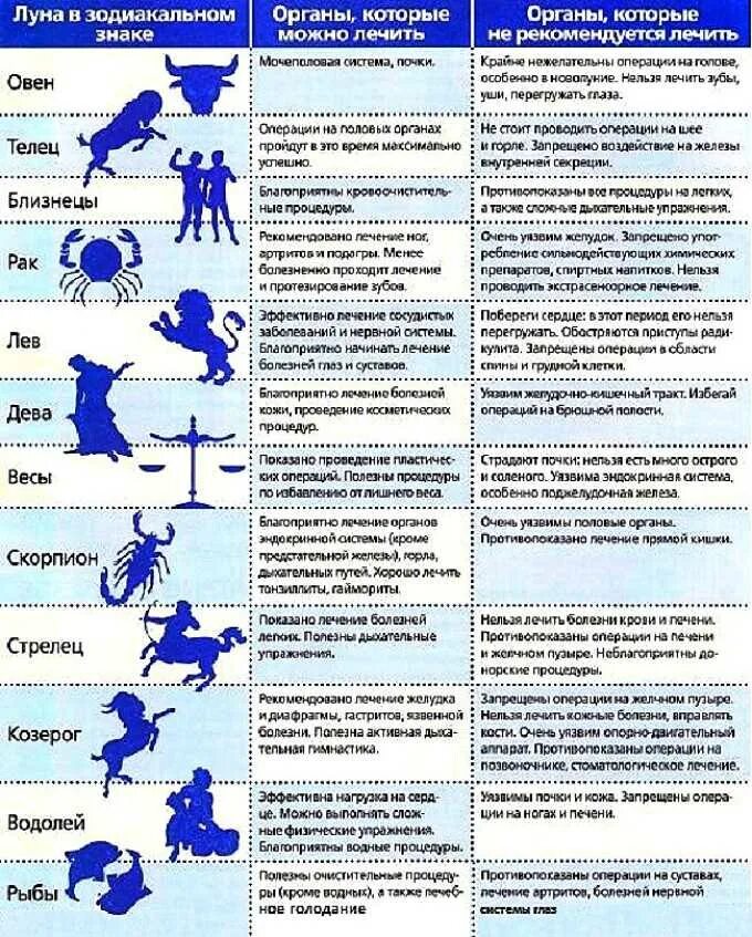 Операции по знакам зодиака. Лунный календарь знаки зодиака. Знаки зодиака отвечающие за органы. Знаки зодиака и болезни. Уязвимое время