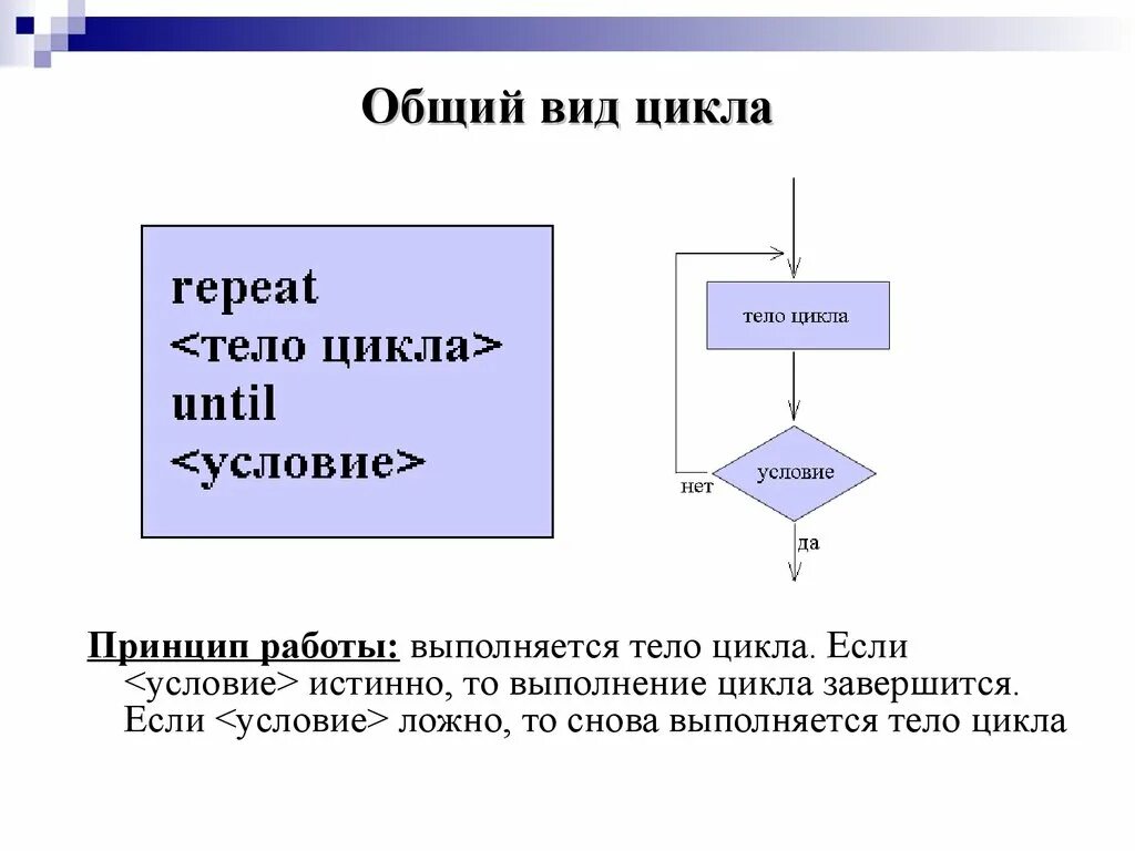 Типы циклов в Паскале. Оператор цикла с постусловием repeat в Паскале. Циклы на языке Паскаль. Цикл форм Паскаль. Цикл с условием презентация