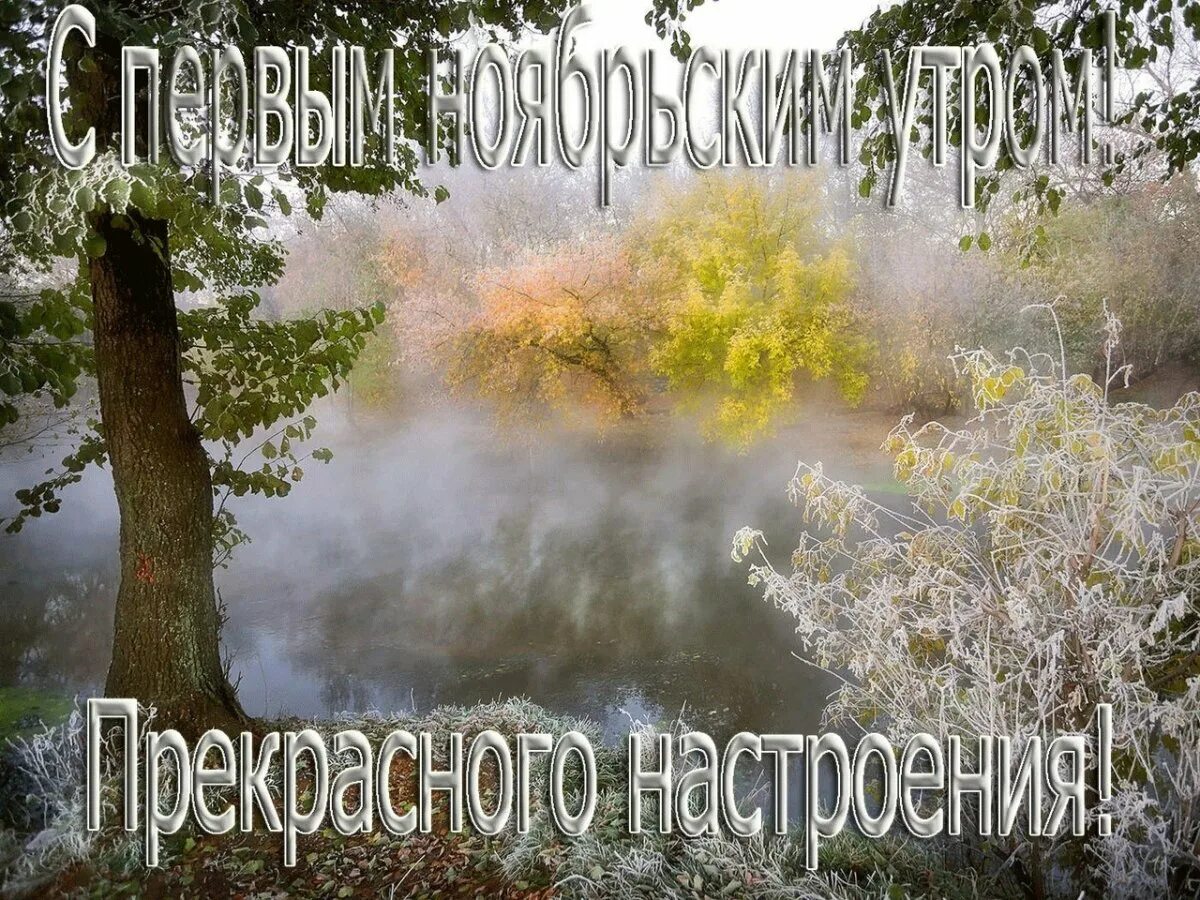 Хорошего ноябрьского утра картинки. С добрым ноябрьским утром. С добрым ноябрьском утром. С добрымнояборьским утром. С добрым ноя бским утром.
