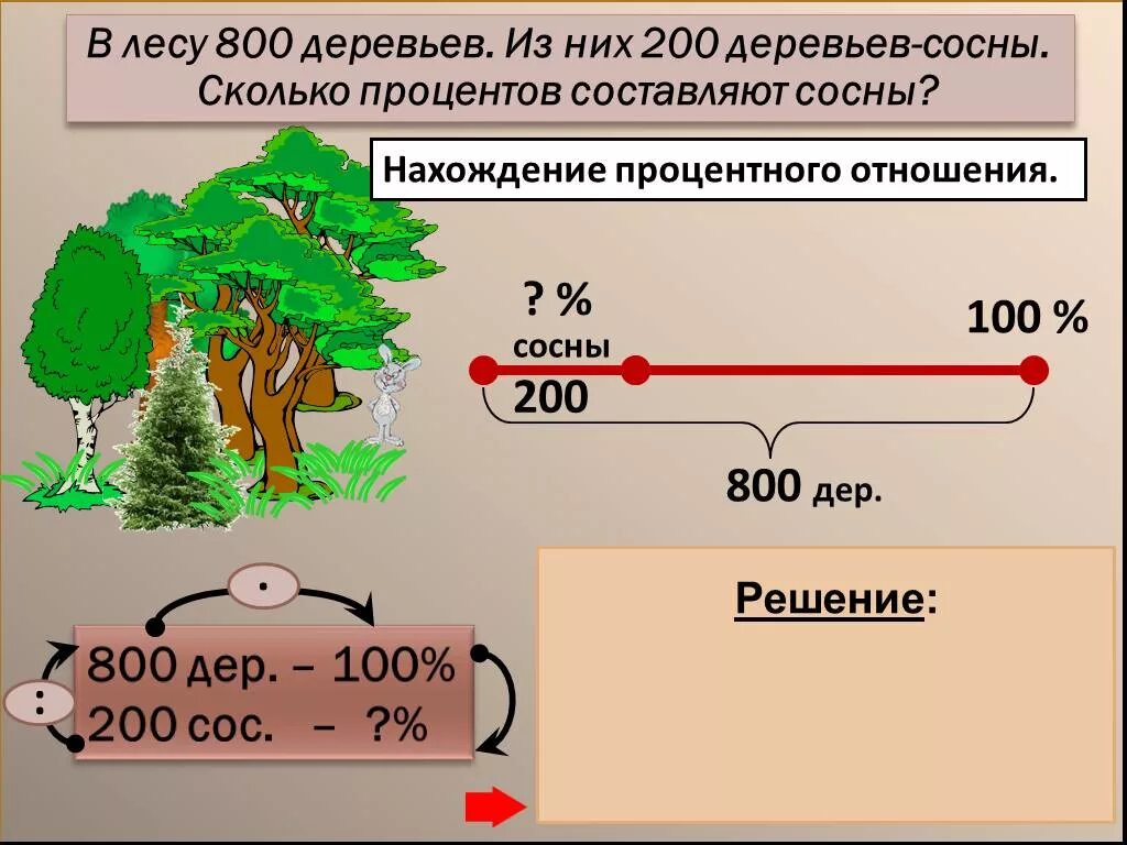 Сколько деревьев в москве. Задача с соснами решение.. Отношения сосен в лесу. Процента дерево. 100 Процентное дерево.