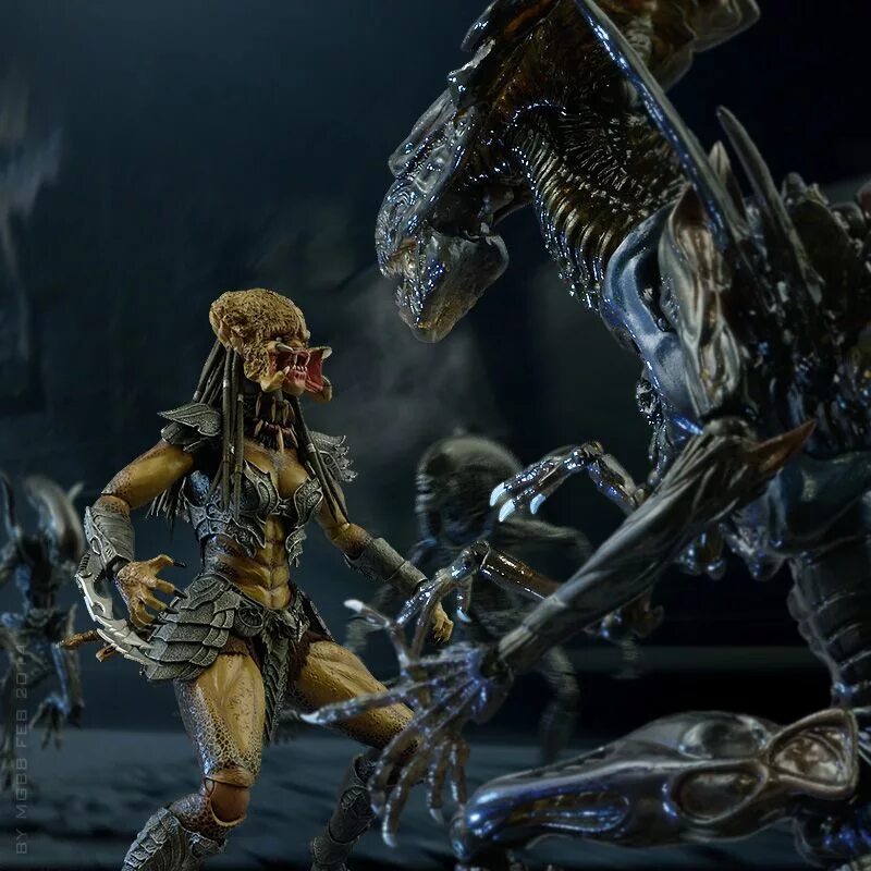 Alien vs Predator Colonial Marines Королева. Чужой против хищника 2004 Королева. Чужой против хищника 3. Queen чужих vs Predalien. Королева хищников управляет своим войском