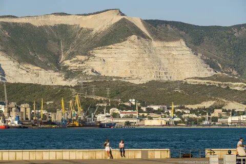 Организации в новороссийске