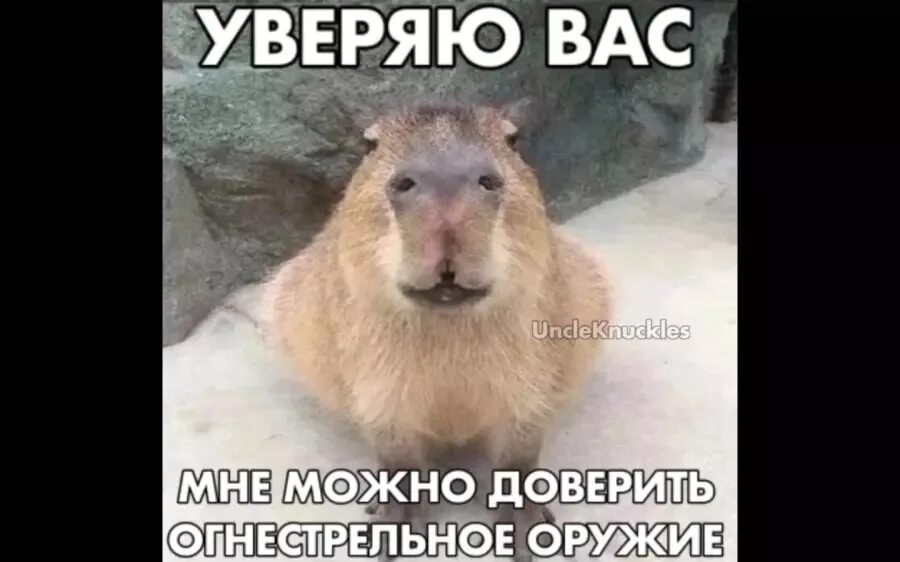 Уверяю вас мне можно доверить. Уверяю вас мне можно доверить