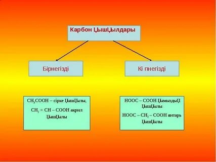 Карбон қышқылдары
