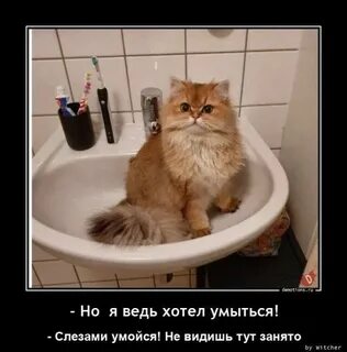 Тут вижу тут не вижу