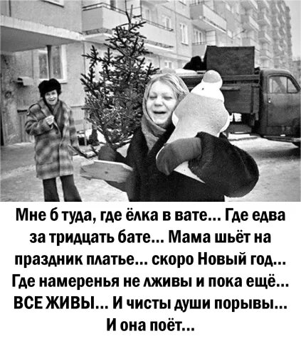 Где елка в вате. Елка в вате и едва за тридцать. вата на елке. мне б туда где ёлка. мне б туда где ёлка в вате.