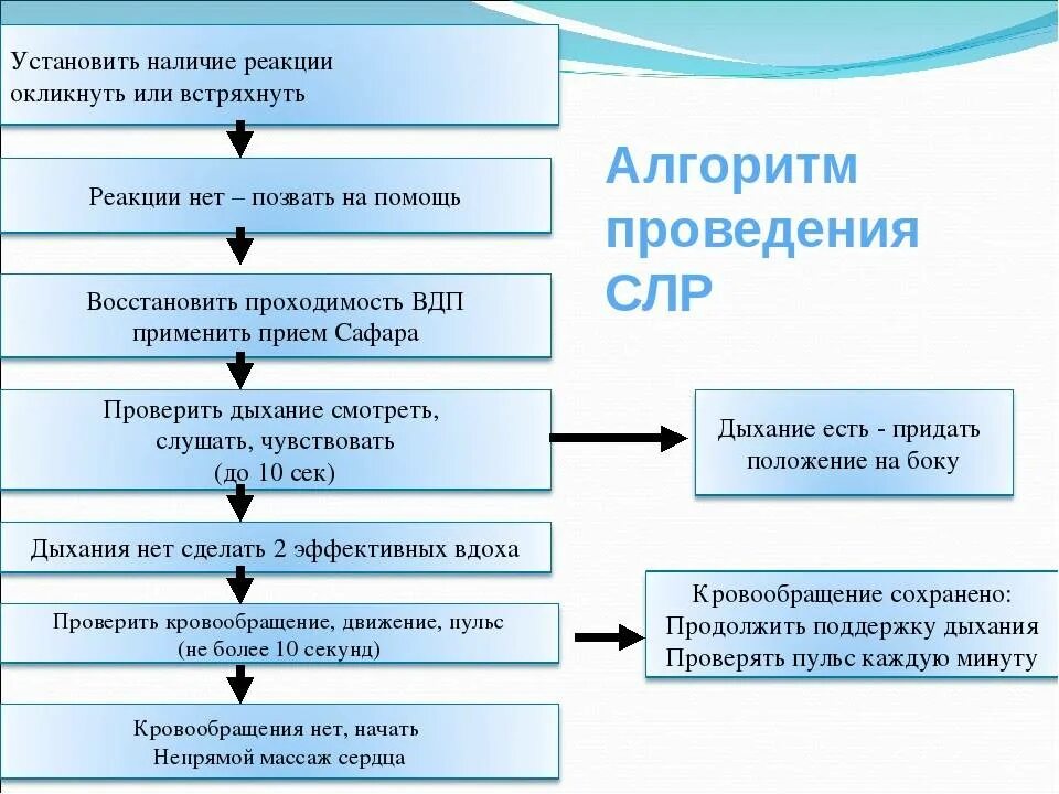 Алгоритм действия очистительной. Алгоритм базовой сердечной реанимации. Алгоритм проведения сердечно-легочной реанимации. Проведение базовой сердечно-легочной реанимации алгоритм. Алгоритм осуществления сердечно-лёгочной реанимации.