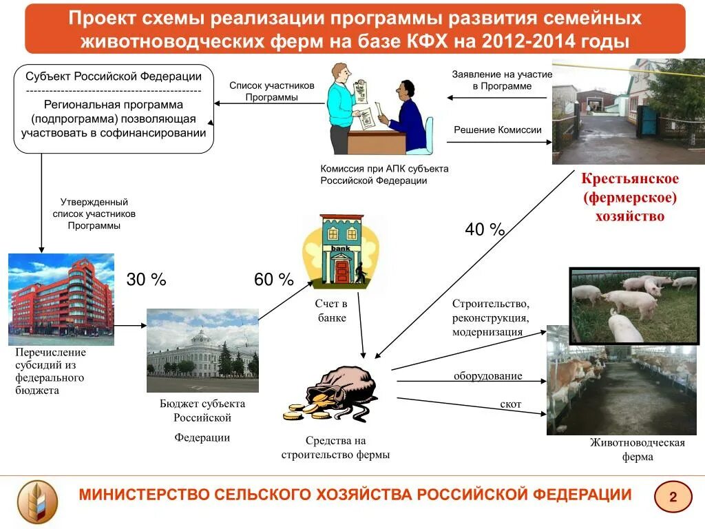 План развития личного подсобного хозяйства. План развития животноводства. Схема реализации программы семейная фермы. Схема проекта сельское хозяйство.