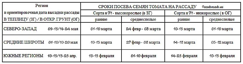 Сроки высадки томатов