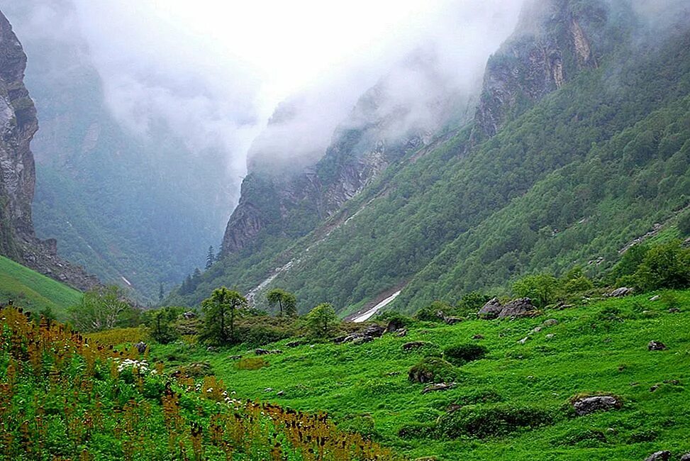 Равнины гималаи. Природа Индии Гималаи. Долина цветов Индия национальный парк. Большие Гималаи национальный парк Индия. Гималаи Долина.