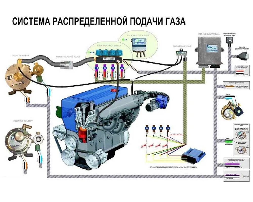 Схема газового оборудования на Газель 2 поколения. Схема ГБО 4 поколения для инжекторного автомобиля Газель. Система ГБО 2 поколения. Схема подключения газового оборудования на Газель инжектор.