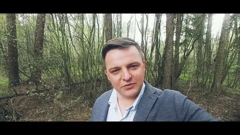 Политолога гордея