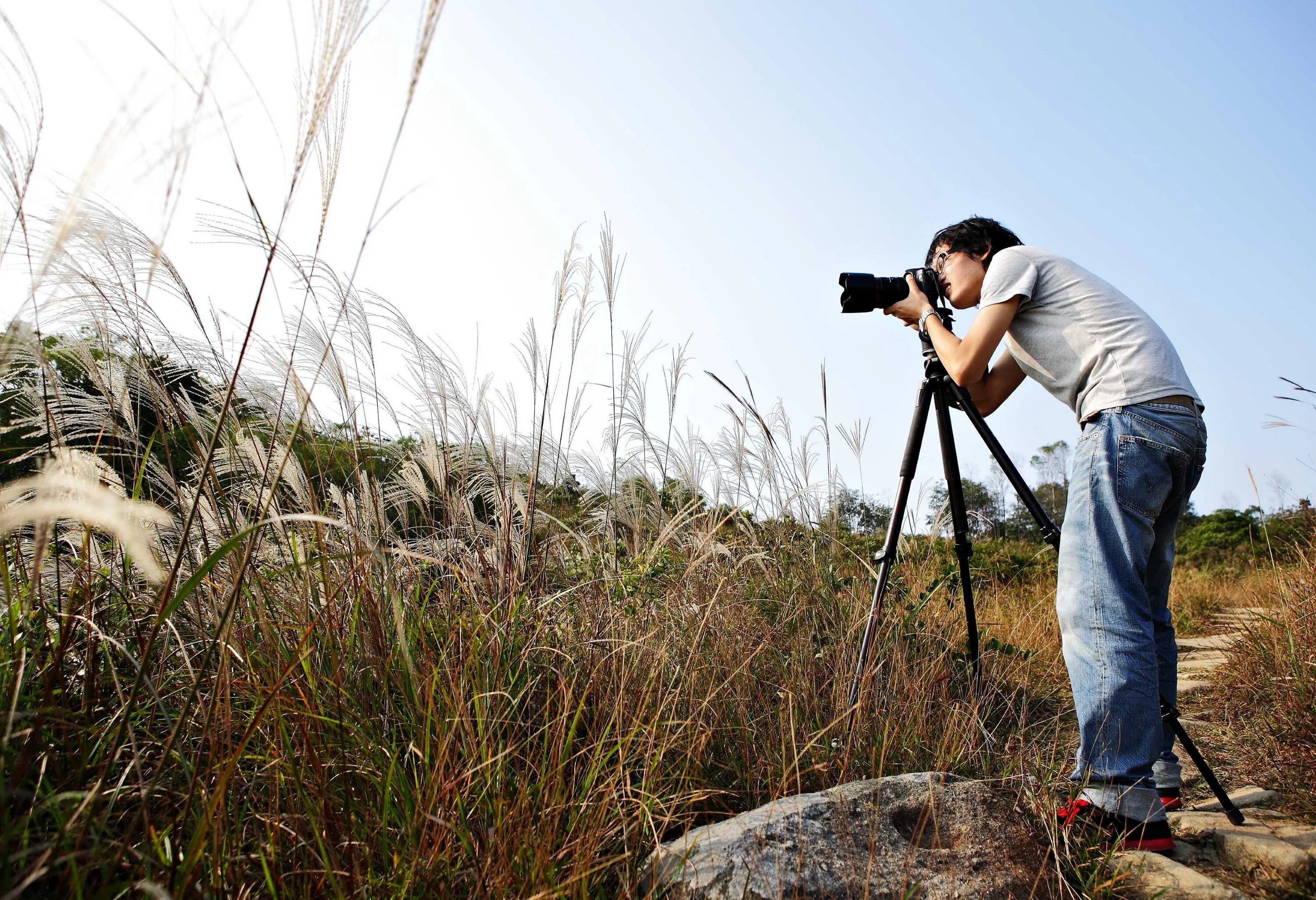 It can take photographs