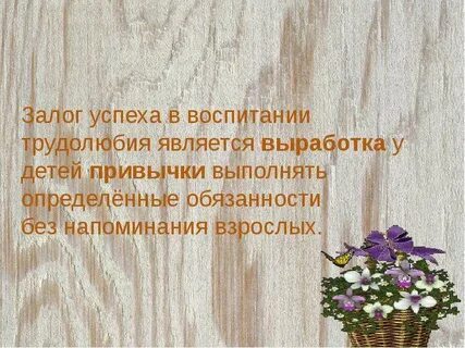 Воспитание успехом