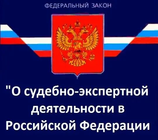 Фз о судебно-экспертной деятельности. Технико-криминалистическая экспертиза документов. Государственный судебный эксперт. Государственная судебная экспертиза. Ипл мчс россии.