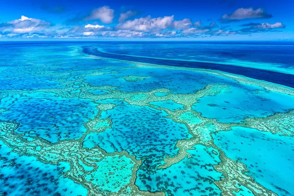 Коралловый риф протянувшийся вдоль восточной окраины материка. Австралия great Barrier Reef. Большой Барьерный риф (ББР), Австралия. Коралловый Барьерный риф. 2. Большой Барьерный риф в Австралии.