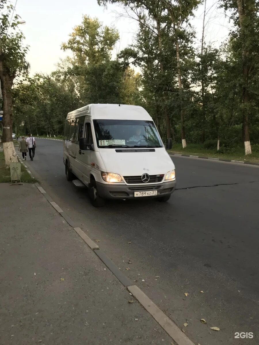 Ростов старый оскол автобус. Маршрутка 11. Маршрутка 11 старый Оскол. Маршрутки старый Оскол. Автобус старый Оскол.