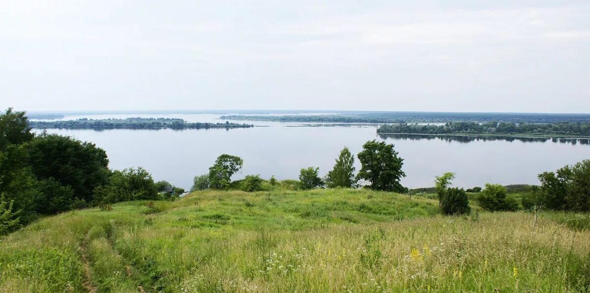 Фокино воротынский район нижегородская область. Сомовка Воротынского района Нижегородской области. Васильсурск Воротынский район. Лысая гора Нижегородская область Воротынский район. Лысая гора Воротынский район.