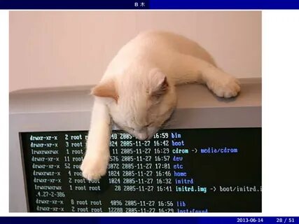 Cat linux