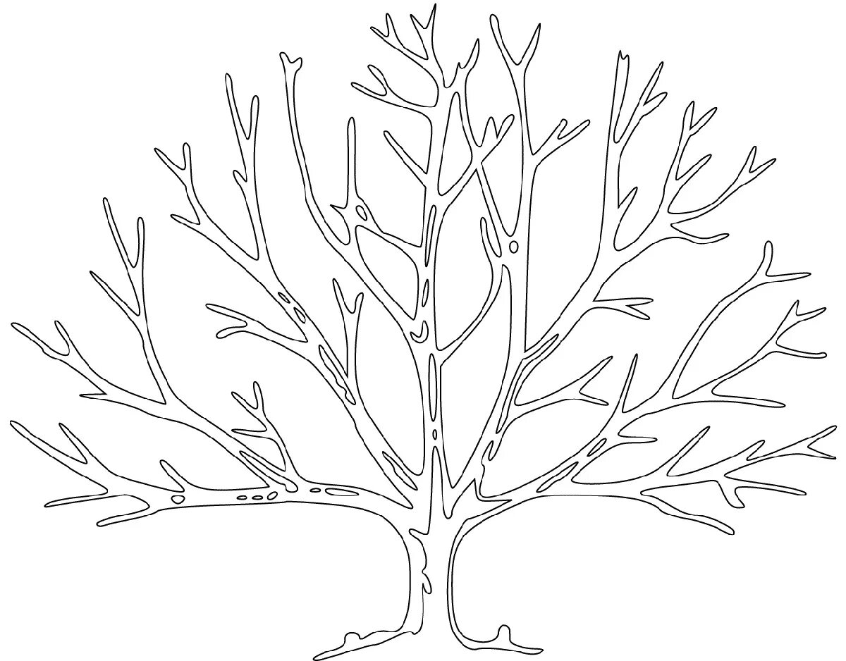 Page tree