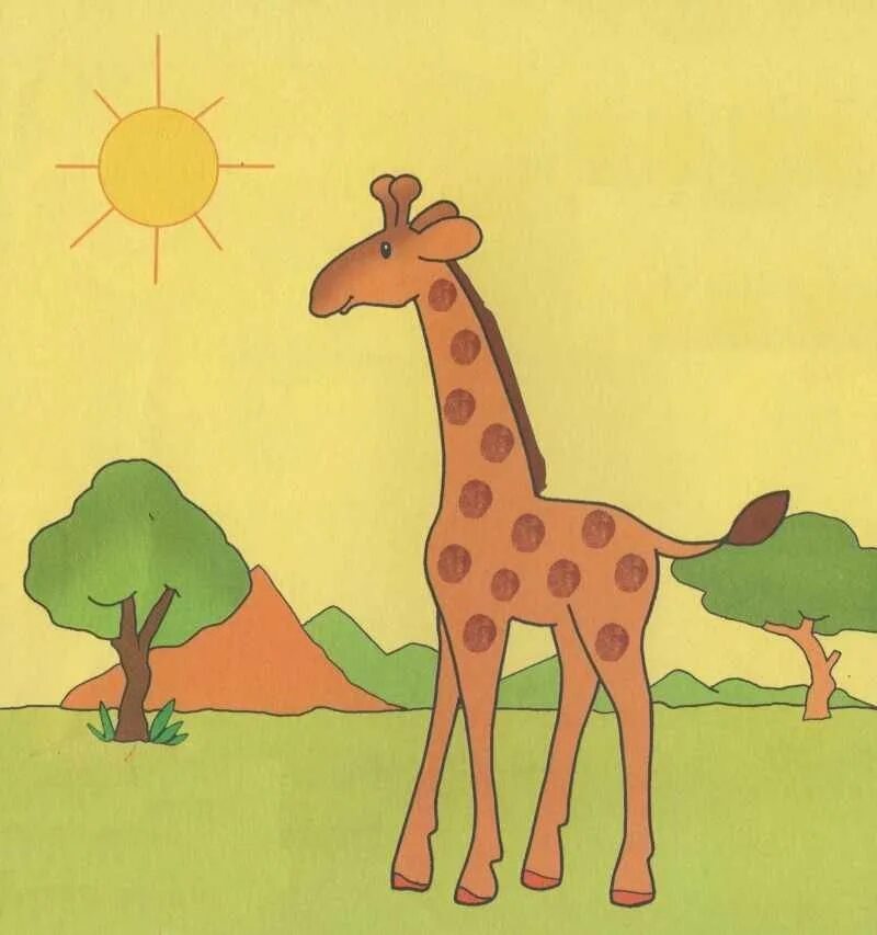 Рисование жирафа с детьми. Рисование жирафа в подготовительной группе. Рисование жирафа в старшей группе. Рисование Жираф средняя группа. На рисунке изображен жираф
