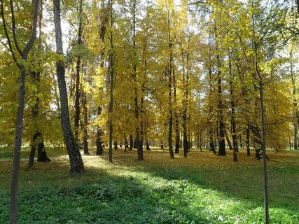 Барыши щербинка
