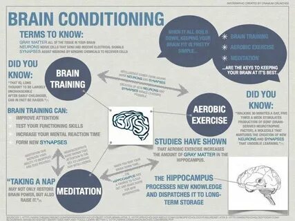 Your brain training