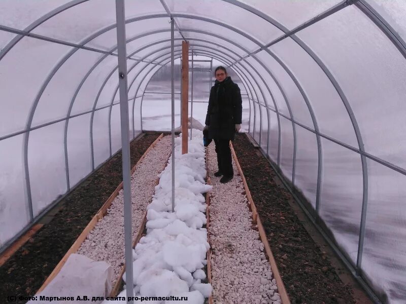 Лук на зелень в теплице весной. Ранняя зелень в теплице. Лук в теплице. Теплица ранняя. Теплица с луком.