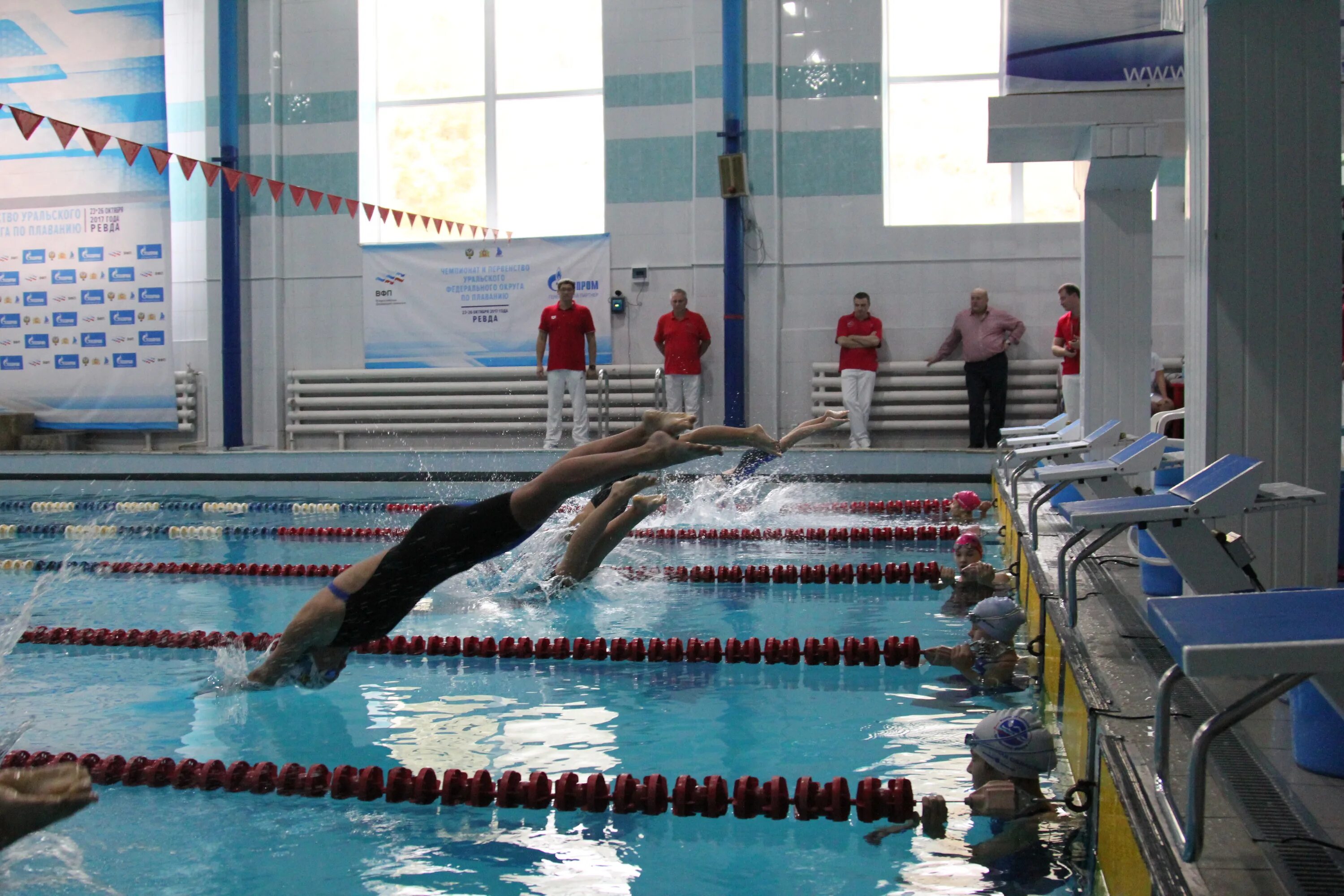 Юрга бассейн темп режим. Бассейн садко юрга. Бассейн садко юрга. Дфк пгупс бассейн. Тренажерный зал воронеж генерала лизюкова.