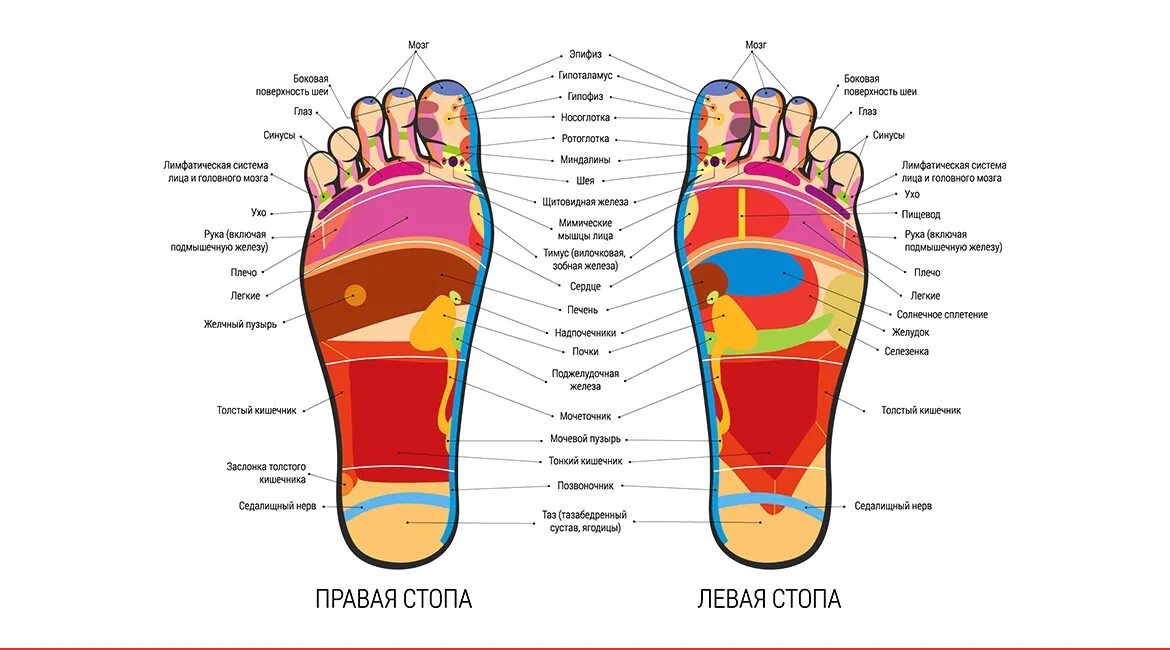 причины возникновения плоскостопия. продольно-поперечное плоскостопие степени. 45 размер длина стопы. стопы сколько действует. аппликатор ляпко зоны воздействия.