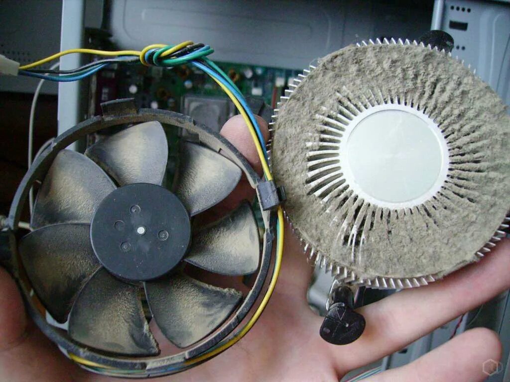 Вентилятор для компьютера. Вентилятор для радиатора процессора. Вентилятор для радиатора процессора ПК. Пыльный кулер процессора. Сильно гудит вентилятор