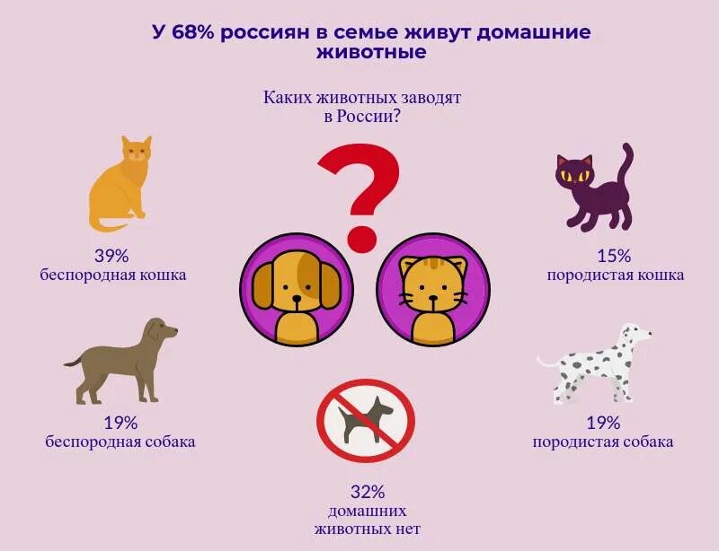 Опрос животные