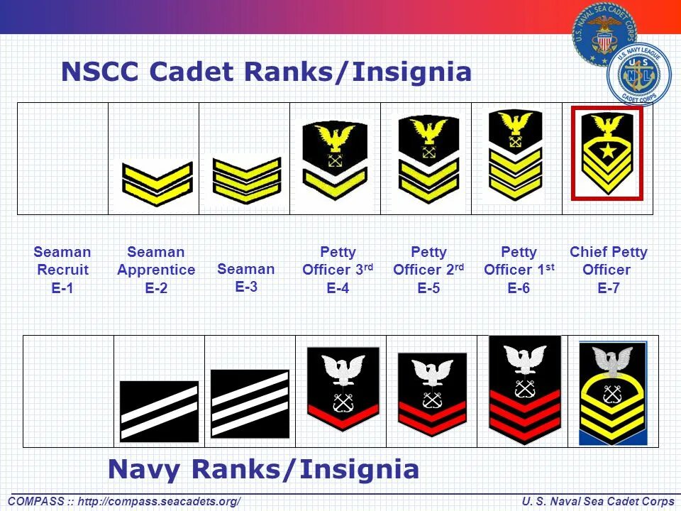Us Navy Ranks. Naval Cadet Rank Insignia Charts. Royal Navy Ranks and Insignia. Uk Naval Ranks.
