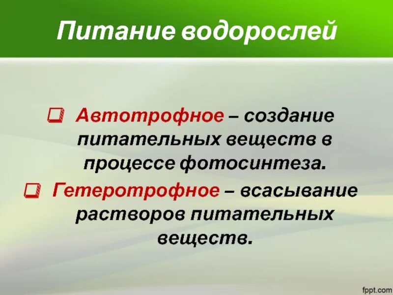 Кем являются водоросли по типу питания. Кем являются водоросли по типу питания