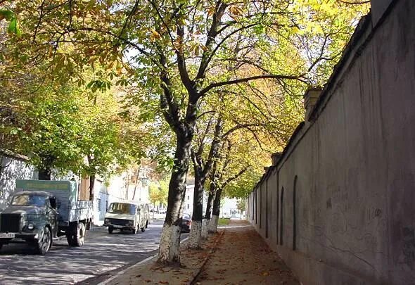 Ул кривоноса. Львів вулиця максима кривоноса. Ул кривоноса. Ул кривоноса. Вулиця максима кривоноса дом.