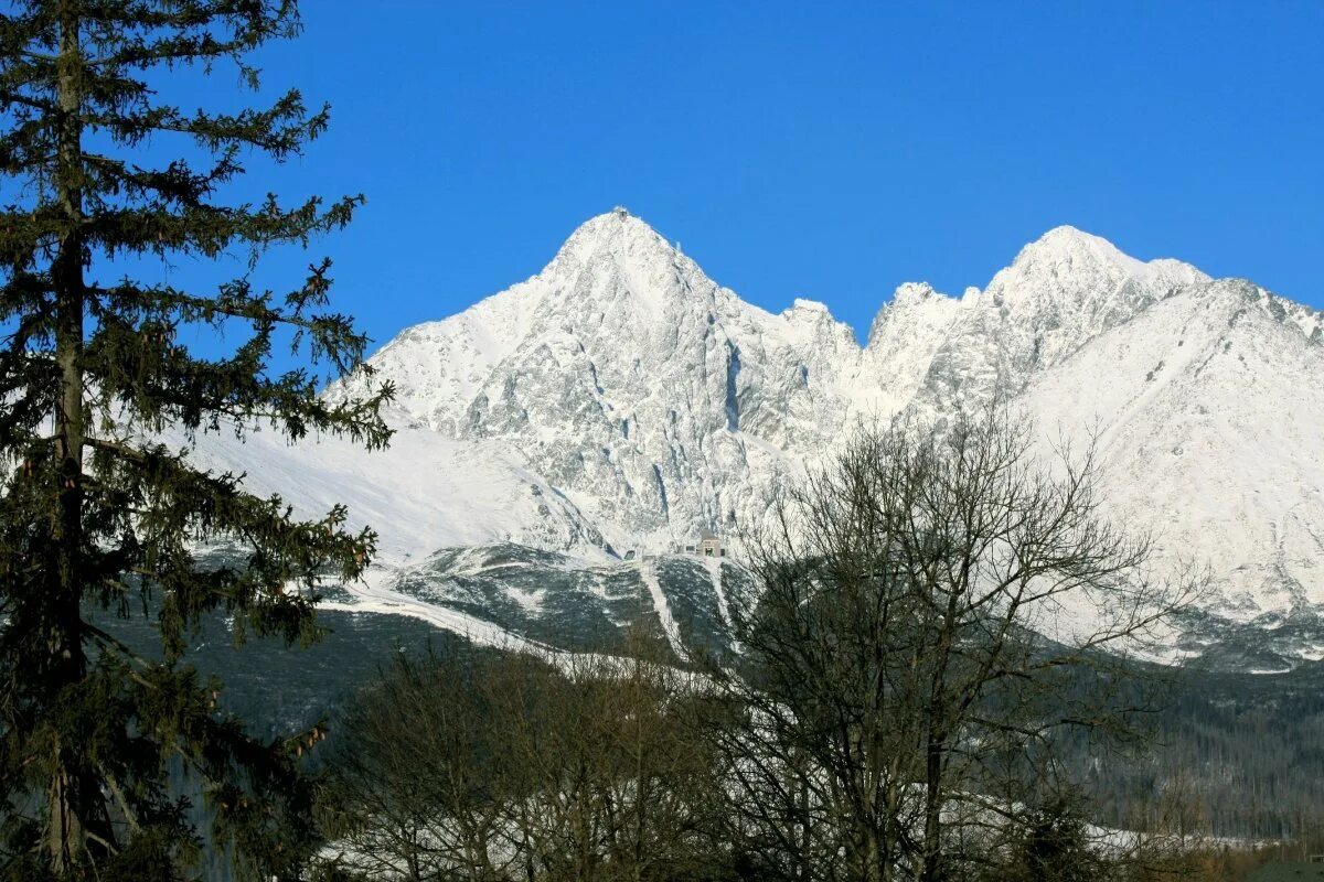 Гималаи. Денали белуха чогори эверест канченджанга. Пик пушкина безенги. Вершина джомолунгма высота. Эльбрус эверест джомолунгма.