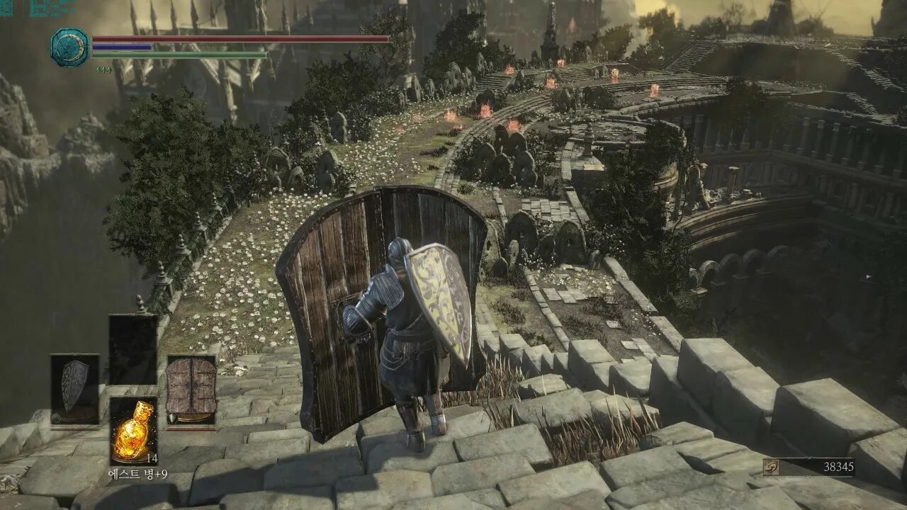 Лучший щит дарк соулс. Щит дверь dark souls 3. дарк соулс 2 щита. дс 3 щит двери. щит ворота дарк соулс 3.