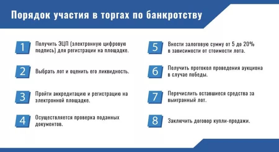 Как принять участие в торгах. Порядок проведения торгов по банкротству. Этапы проведения торгов в банкротстве. Этапы процедуры банкротства физического лица. Порядок проведения торгов при банкротстве физического лица.