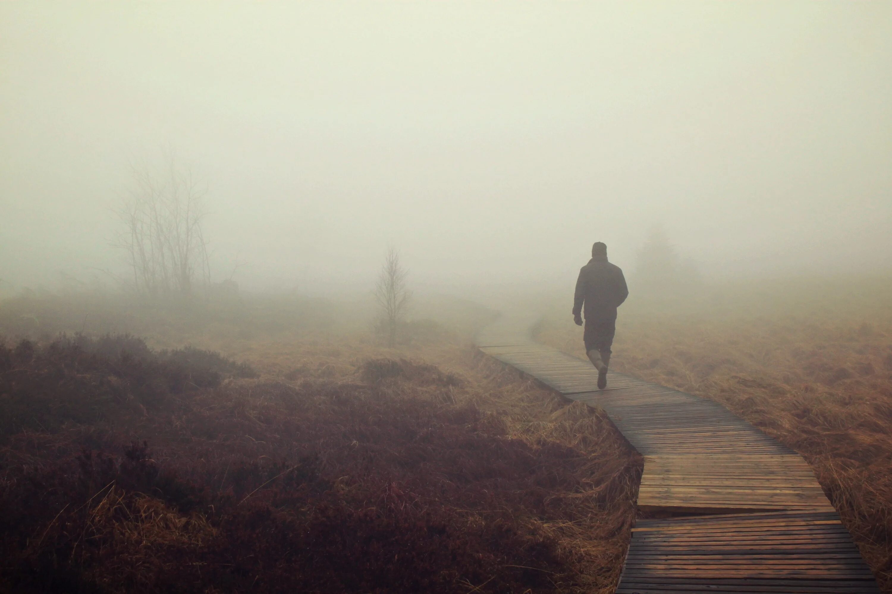 The man from the fog 2