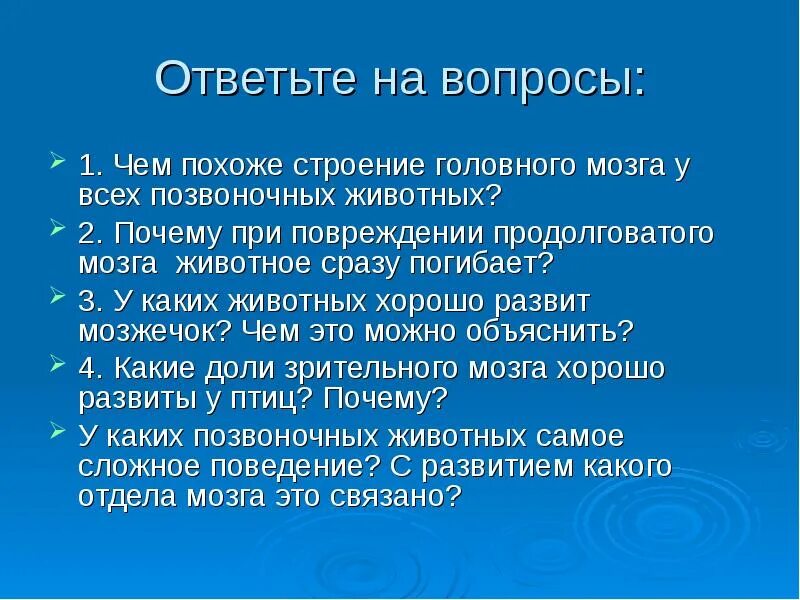 Почему повреждение продолговатого мозга приводит к гибели. Почему при повреждении продолговатого мозга животное сразу погибает. сравнение головного мозга позвоночных животных. почему повреждение продолговатого мозга небезопасно для жизни.